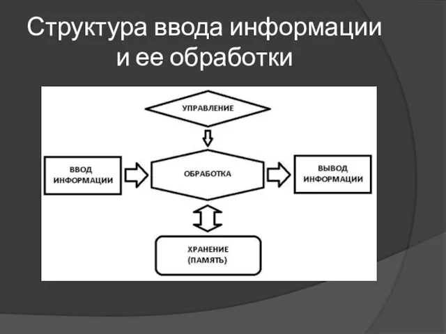 Структура ввода информации и ее обработки