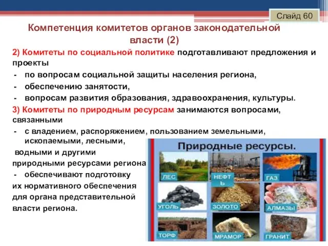 Компетенция комитетов органов законодательной власти (2) Слайд 60 2) Комитеты по социальной