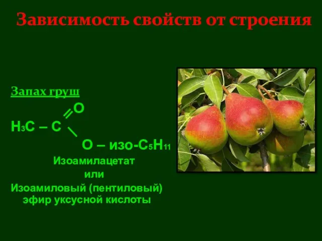Запах груш О Н3С – С О – изо-С5Н11 Изоамилацетат или Изоамиловый