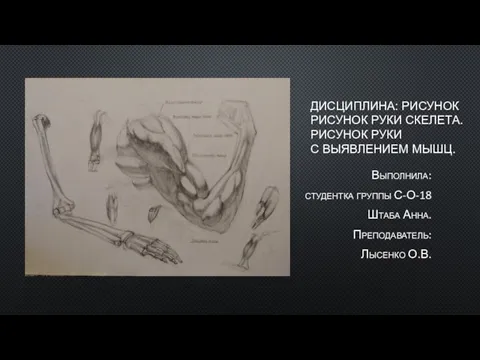 ДИСЦИПЛИНА: РИСУНОК РИСУНОК РУКИ СКЕЛЕТА. РИСУНОК РУКИ С ВЫЯВЛЕНИЕМ МЫШЦ. Выполнила: студентка