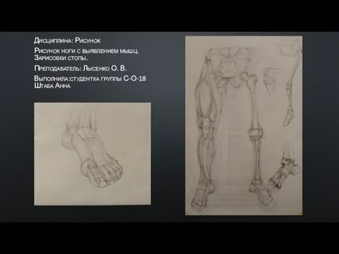Дисциплина: Рисунок Рисунок ноги с выявлением мышц. Зарисовки стопы. Преподаватель: Лысенко О.