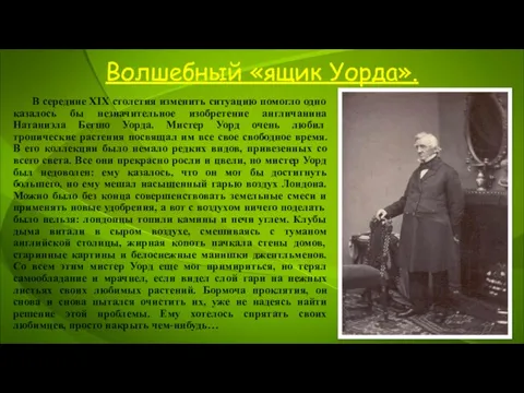 Волшебный «ящик Уорда». В середине XIX столетия изменить ситуацию помогло одно казалось