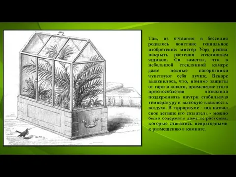 Так, из отчаяния и бессилия родилось поистине гениальное изобретение: мистер Уорд решил