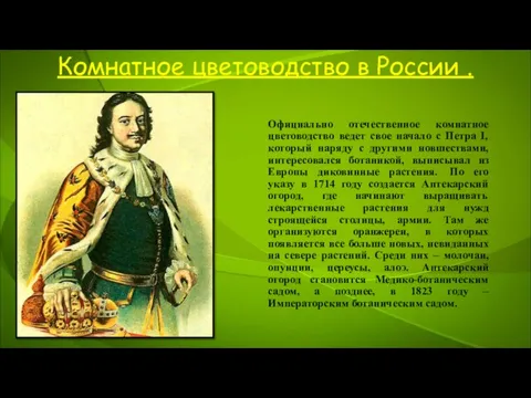 Официально отечественное комнатное цветоводство ведет свое начало с Петра I, который наряду