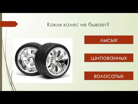 Каких колес не бывает? лысых шипованных волосатых волосатых