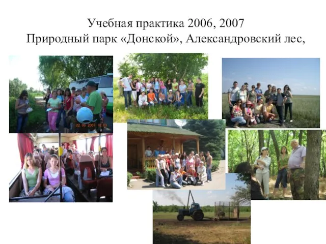 Учебная практика 2006, 2007 Природный парк «Донской», Александровский лес,