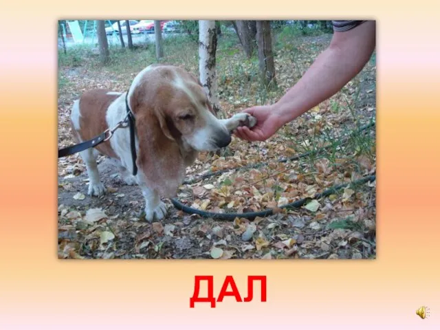 ДАЛ