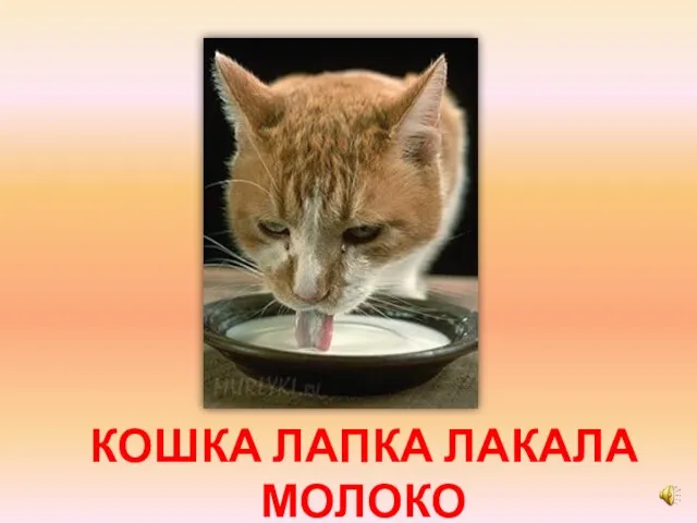 КОШКА ЛАПКА ЛАКАЛА МОЛОКО