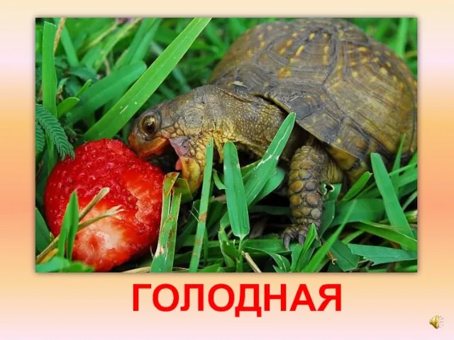 ГОЛОДНАЯ