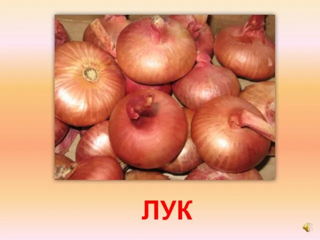 ЛУК