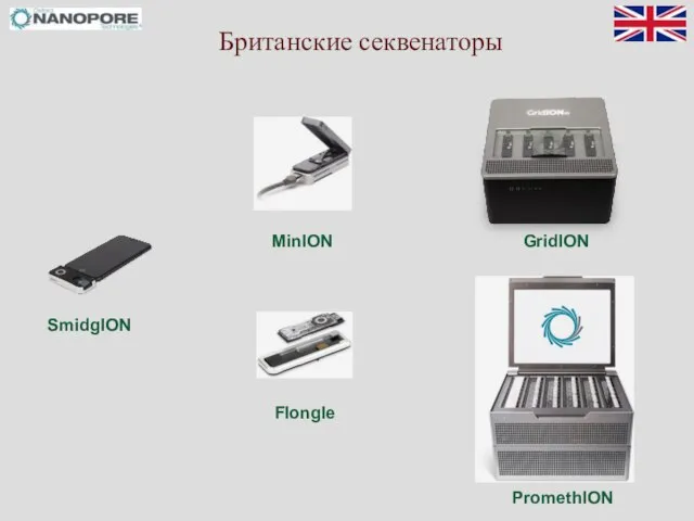 Британские секвенаторы SmidgION MinION Flongle GridION PromethION