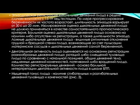 Эпизодическая регистрация дыхательных движений плода в редких случаях возможна с 15-19 нед