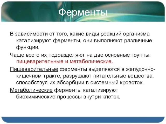 Ферменты В зависимости от того, какие виды реакций организма катализируют ферменты, они