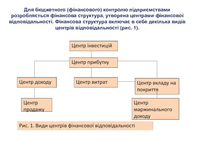 Для бюджетного (фінансового) контролю підприємствами розробляється фінансова структура, утворена центрами фінансової відповідальності.