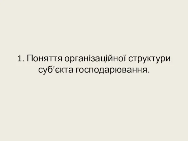 1. Поняття організаційної структури суб'єкта господарювання.