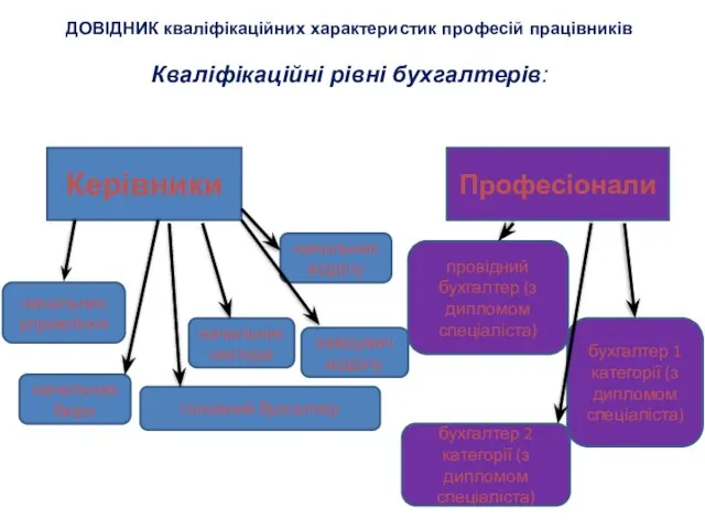 ДОВІДНИК кваліфікаційних характеристик професій працівників Кваліфікаційні рівні бухгалтерів: Керівники начальник управління начальник