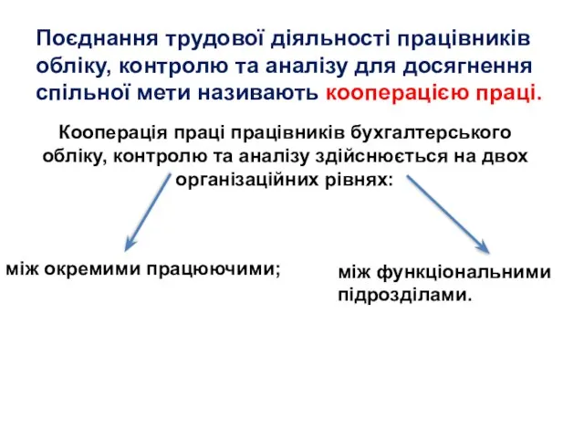 Поєднання трудової діяльності працівників обліку, контролю та аналізу для досягнення спільної мети