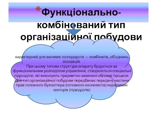 Функціонально-комбінований тип організаційної побудови характерний для великих господарств — ком­бінатів, об’єднань, асоціацій.