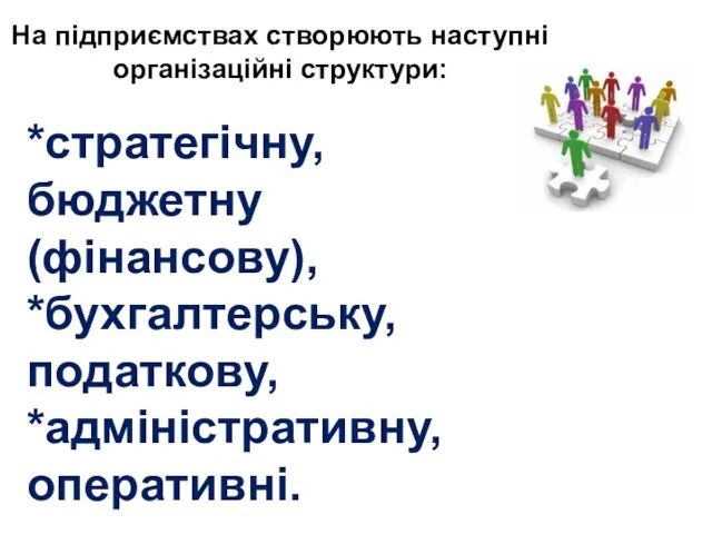 На підприємствах створюють наступні організаційні структури: *стратегічну, бюджетну (фінансову), *бухгалтерську, податкову, *адміністративну, оперативні.