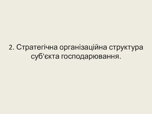 2. Стратегічна організаційна структура суб'єкта господарювання.