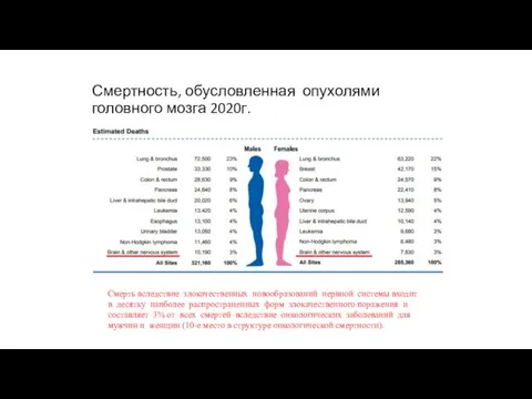 Смертность, обусловленная опухолями головного мозга 2020г. Смерть вследствие злокачественных новообразований нервной системы