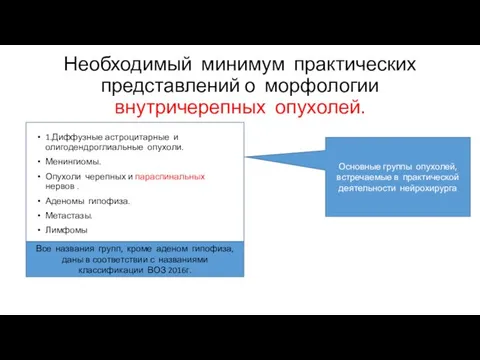 Необходимый минимум практических представлений о морфологии внутричерепных опухолей. 1.Диффузные астроцитарные и олигодендроглиальные