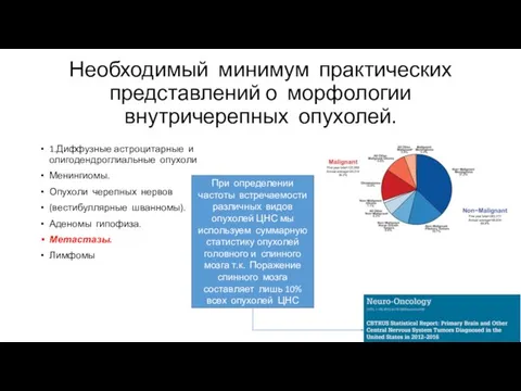 Необходимый минимум практических представлений о морфологии внутричерепных опухолей. 1.Диффузные астроцитарные и олигодендроглиальные