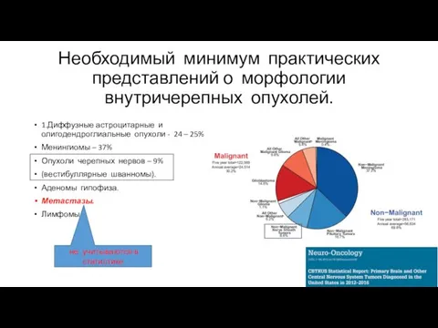 Необходимый минимум практических представлений о морфологии внутричерепных опухолей. 1.Диффузные астроцитарные и олигодендроглиальные