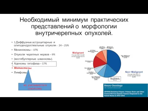 Необходимый минимум практических представлений о морфологии внутричерепных опухолей. 1.Диффузные астроцитарные и олигодендроглиальные