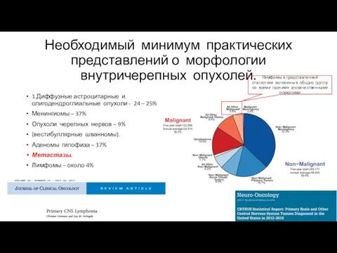 Необходимый минимум практических представлений о морфологии внутричерепных опухолей. 1.Диффузные астроцитарные и олигодендроглиальные