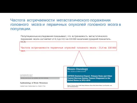 Частота встречаемости метастатического поражения головного мозга и первичных опухолей головного мозга в