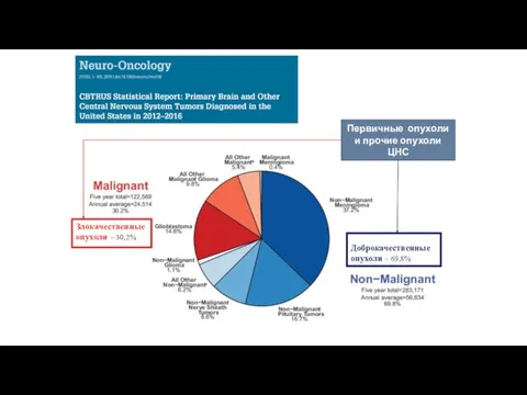 Злокачественные опухоли – 30,2% Доброкачественные опухоли – 69,8% Первичные опухоли и прочие опухоли ЦНС