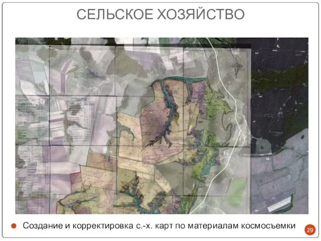 СЕЛЬСКОЕ ХОЗЯЙСТВО Создание и корректировка с.-х. карт по материалам космосъемки