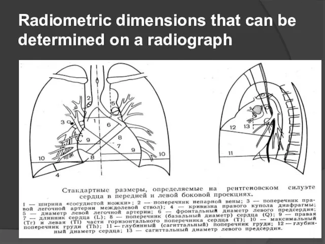 Radiometric dimensions that can be determined on a radiograph