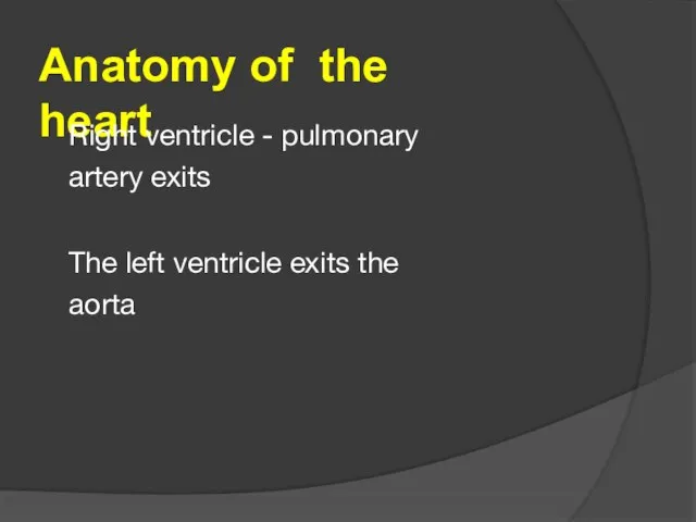 Anatomy of the heart Right ventricle - pulmonary artery exits The left ventricle exits the aorta