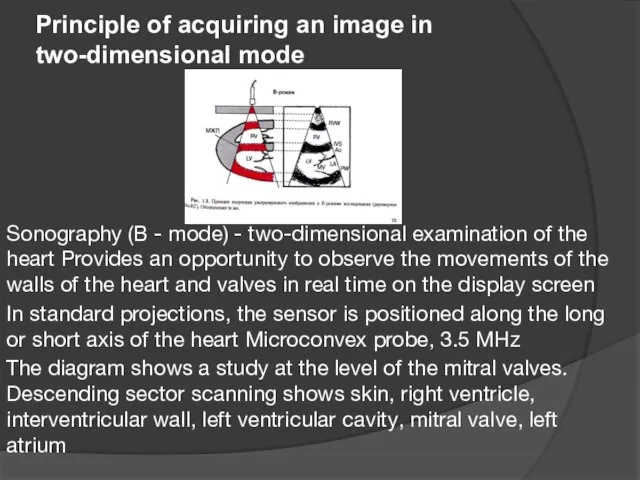 Principle of acquiring an image in two-dimensional mode Sonography (B - mode)