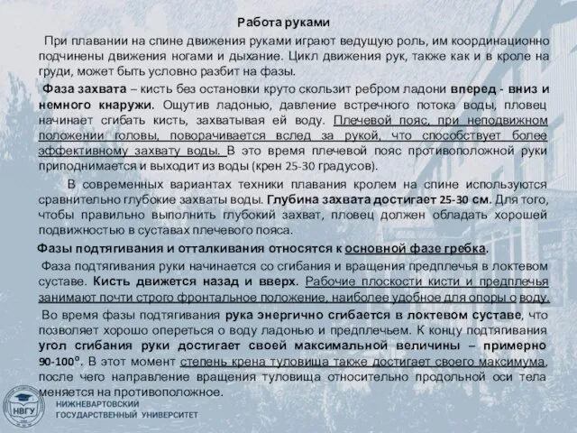 Работа руками При плавании на спине движения руками играют ведущую роль, им