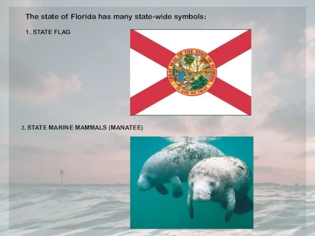The state of Florida has many state-wide symbols: 1. STATE FLAG 2. STATE MARINE MAMMALS (MANATEE)
