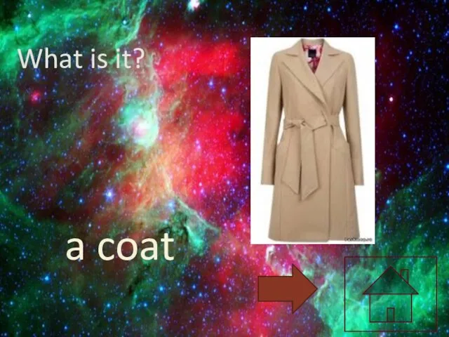 What is it? a coat