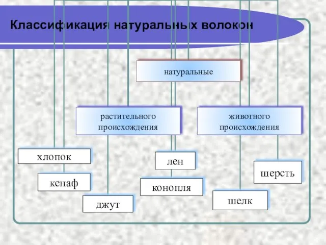 Классификация натуральных волокон