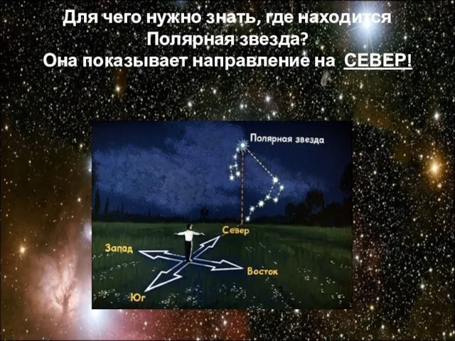 Для чего нужно знать, где находится Полярная звезда? Она показывает направление на СЕВЕР!