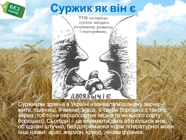 Суржик як він є Суржиком здавна в Україні називали мішанину зерна –