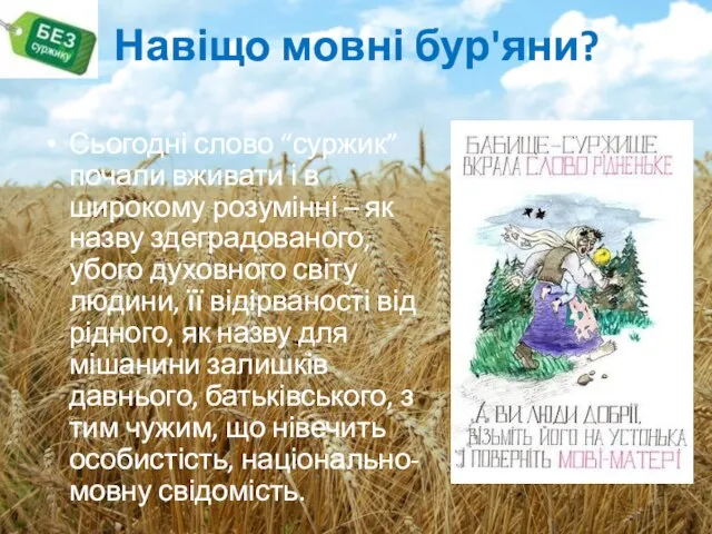 Навіщо мовні бур'яни? Сьогодні слово “суржик” почали вживати і в широкому розумінні