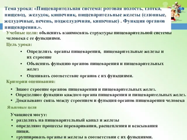 Тема урока: «Пищеварительная система: ротовая полость, глотка, пищевод, желудок, кишечник, пищеварительные железы