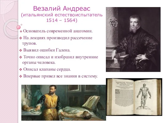 Везалий Андреас (итальянский естествоиспытатель 1514 – 1564) Основатель современной анатомии. На лекциях