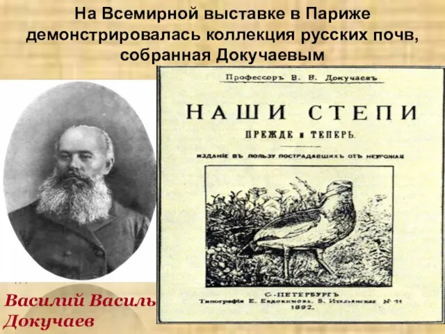 На Всемирной выставке в Париже демонстрировалась коллекция русских почв, собранная Докучаевым 1