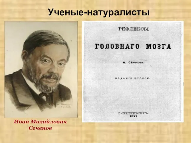 Ученые-натуралисты Иван Михайлович Сеченов И.М. Сеченов создал учение о рефлексах головного мозга,