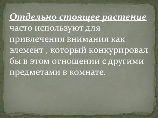 Отдельно стоящее растение часто используют для привлечения внимания как элемент , который