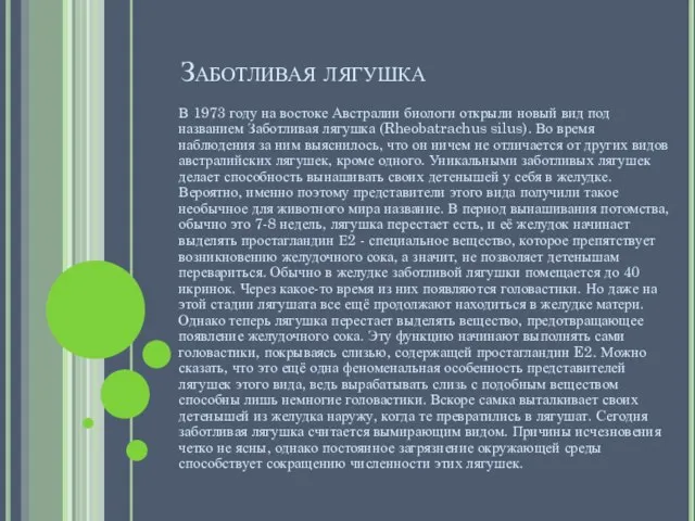 Заботливая лягушка В 1973 году на востоке Австралии биологи открыли новый вид