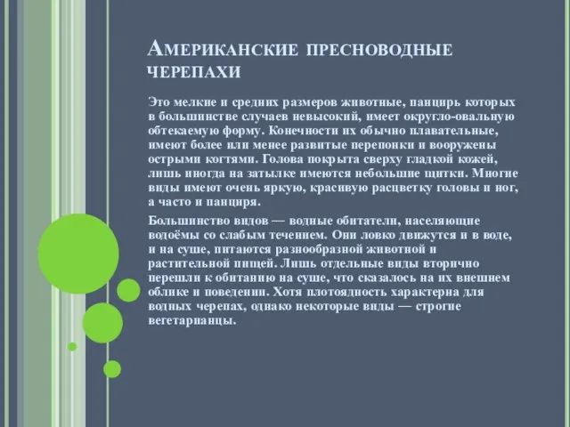 Американские пресноводные черепахи Это мелкие и средних размеров животные, панцирь которых в